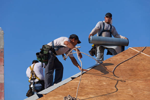 Best Roof Waterproofing Services  in Metropolis, IL